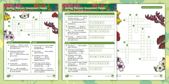 Engaging crossword puzzle to enhance vocabulary and spelling skills in springtime Spring Flowers Crossword worksheet for second graders with vibrant blooms
