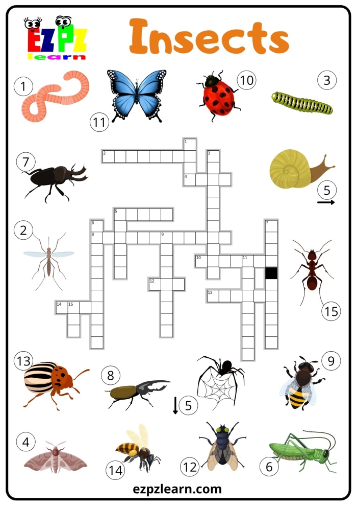 Spring Insects Crossword Worksheet for Second Grade Life Science 10 Second grade students solving a spring insect crossword puzzle in a science worksheet