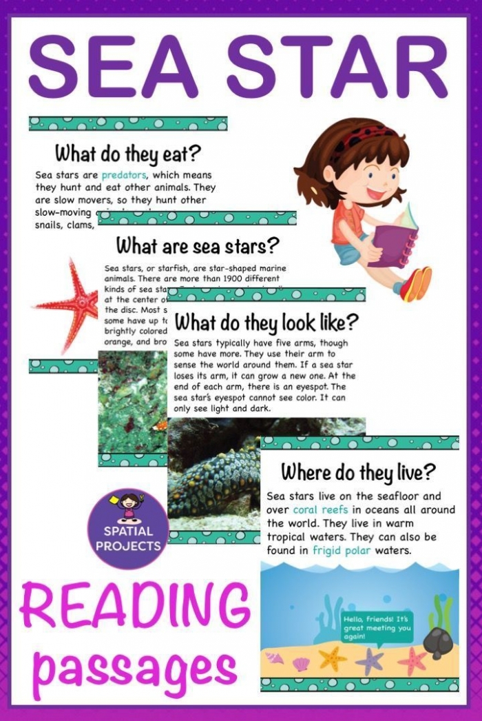 Second grade starfish text features worksheet identifying captions and headings