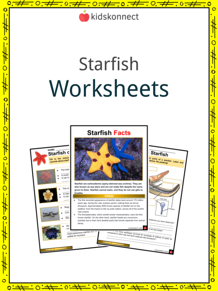 Second grade students identifying nonfiction text features like diagrams and captions on a Starfish worksheet