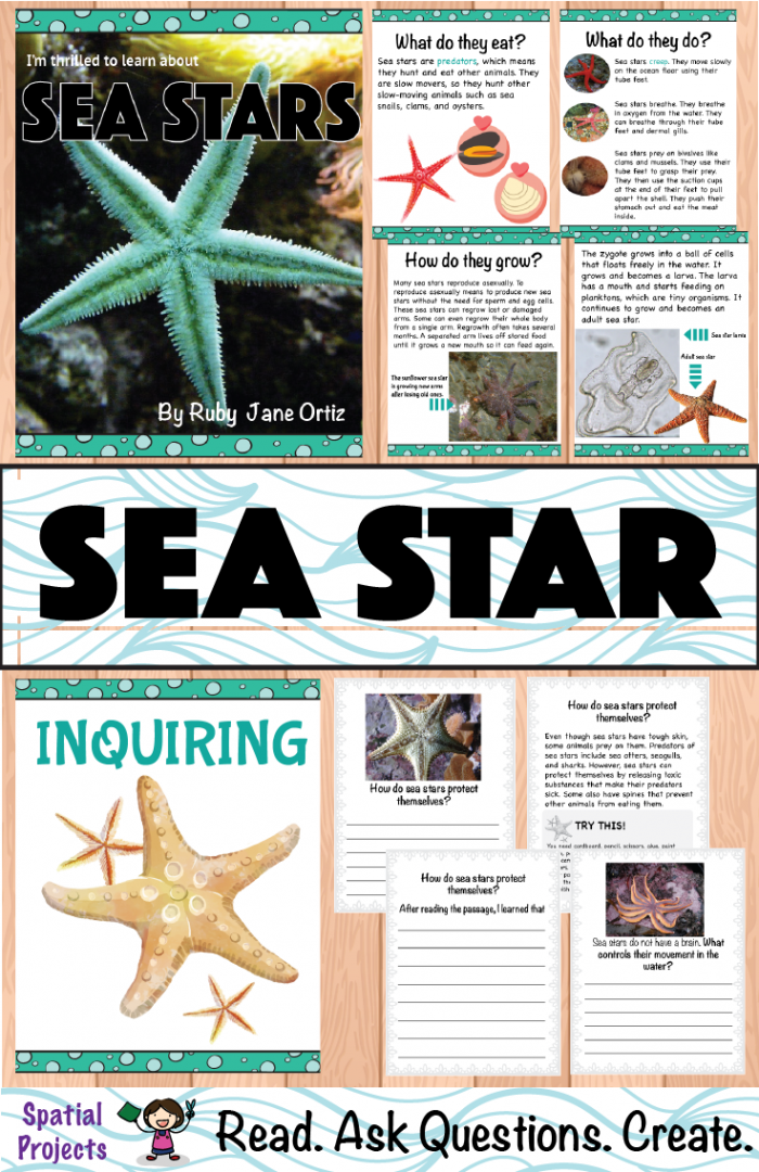 Second grade student worksheet featuring nonfiction text features like diagrams and captions about starfish