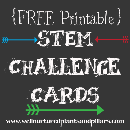 Engaging worksheet for building innovative projects and fostering creativity in young learners STEM design challenge cards for second graders promoting creative problem-solving