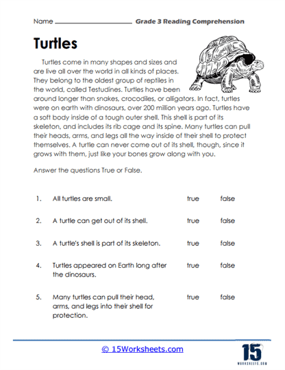 Story Comprehension What is in a Story Worksheet 22 Second grade student filling out a story web graphic organizer about story comprehension