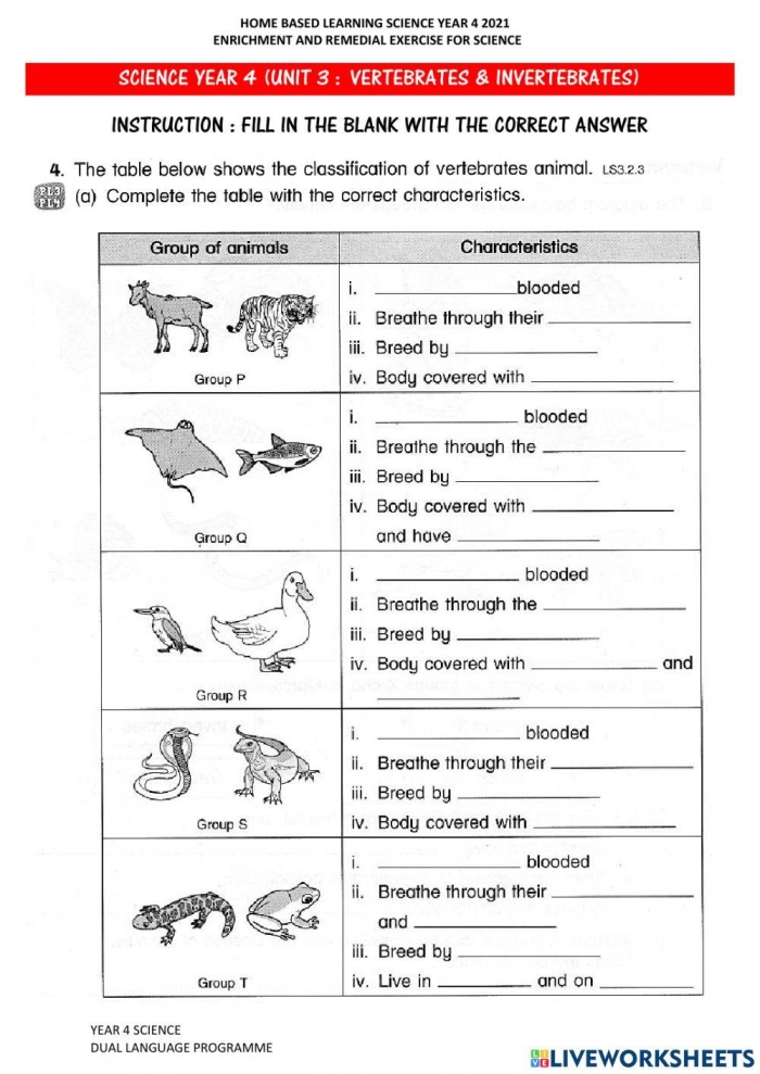 Second grade science worksheet for identifying vertebrates and invertebrates with animal illustrations