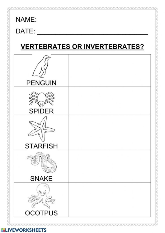 Second grade science worksheet explaining the difference between vertebrates and invertebrates with animal illustrations