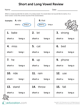Activity sheet for reviewing short and long vowel sounds in second grade