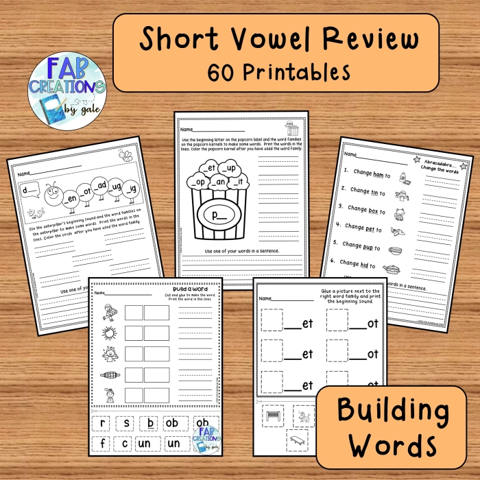 Worksheet for reviewing short and long vowel sounds in second grade