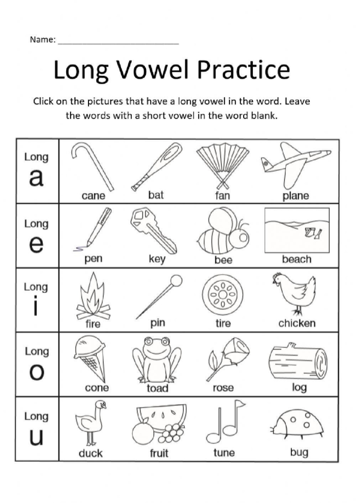 Second grade worksheet featuring a variety of words for practicing short and long vowel sound identification