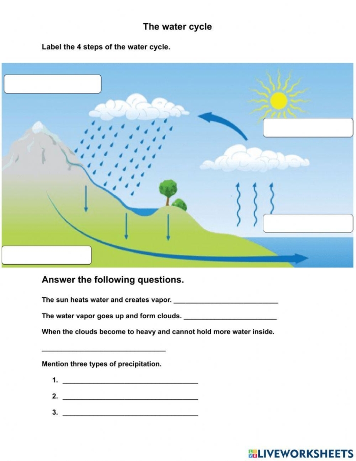 Illustration of the water cycle showing evaporation, condensation, and precipitation for a second-grade worksheet