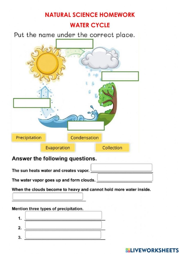 Diagram illustrating the water cycle for a second-grade worksheet on fractions