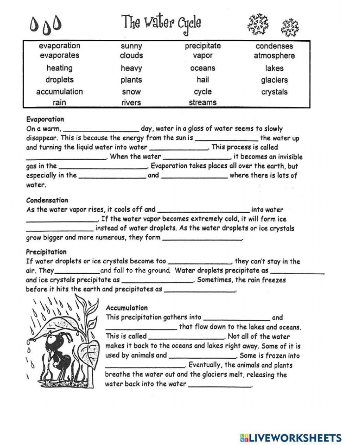 Second grade science worksheet illustrating the steps of the water cycle process