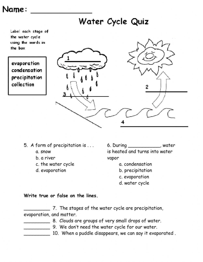 Second grade water cycle science worksheet featuring a diagram of evaporation and precipitation