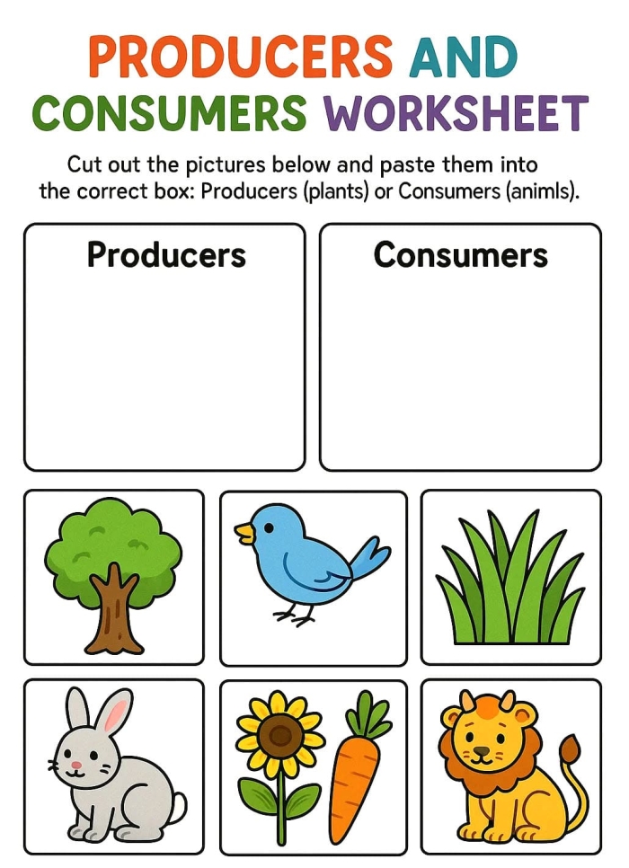 Second grade social studies worksheet about producers and consumers