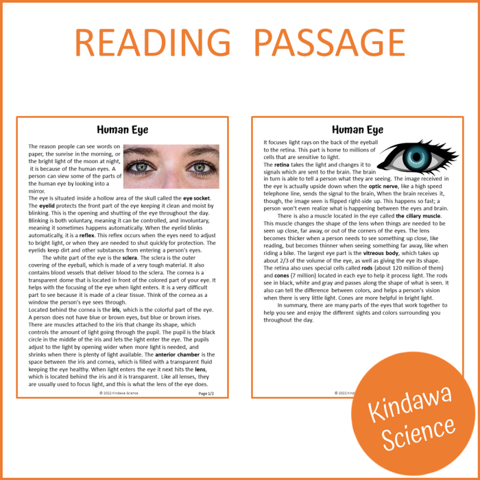 Worksheet illustrating the concept of empathy through various perspectives for fourth graders