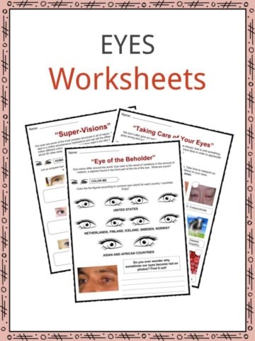 Worksheet illustrating the concept of understanding different perspectives in group scenarios for fourth graders