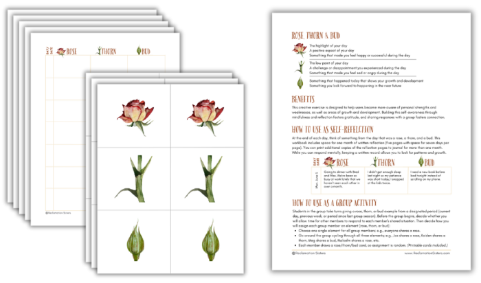 Rose and Thorn Reflection Activity worksheet for sixth grade students to build social emotional learning skills during math lessons