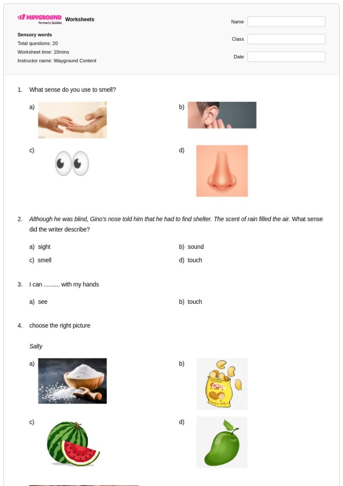 Worksheet image showcasing sensory adjectives for young writers in grade two Sensory Words worksheet for second graders focusing on sorting adjectives by senses