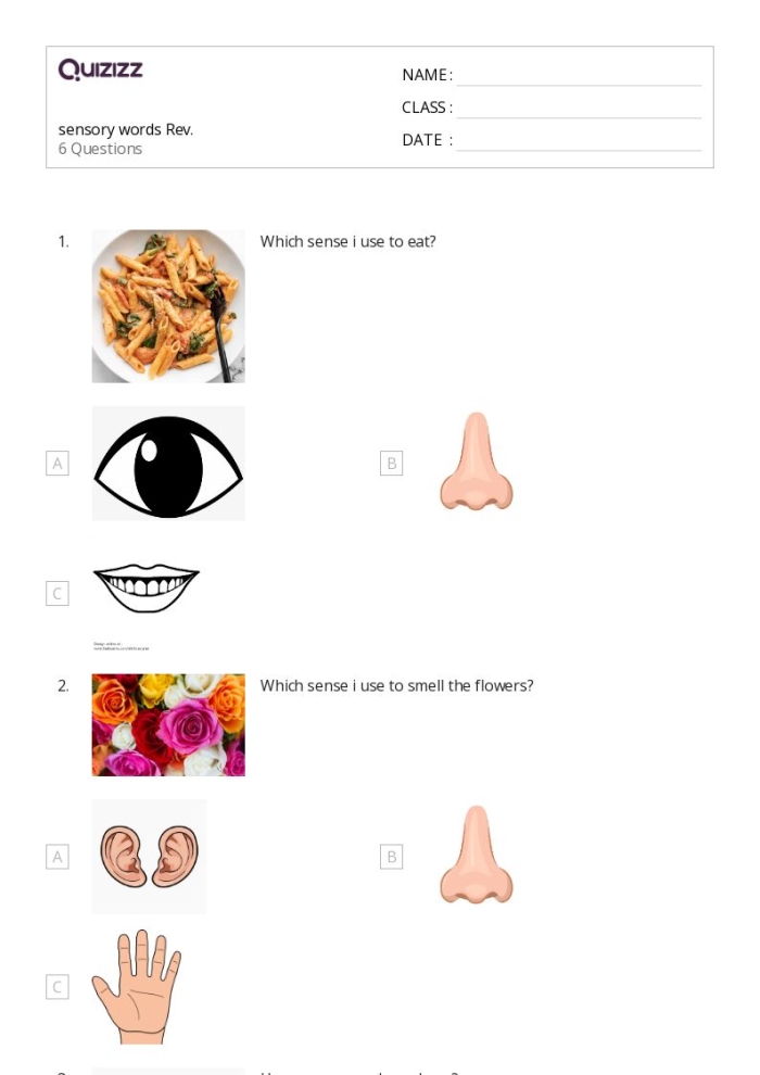 Worksheet image showcasing sensory words for enhancing writing skills in young learners Sensory Words worksheet for second graders focusing on sorting adjectives by senses
