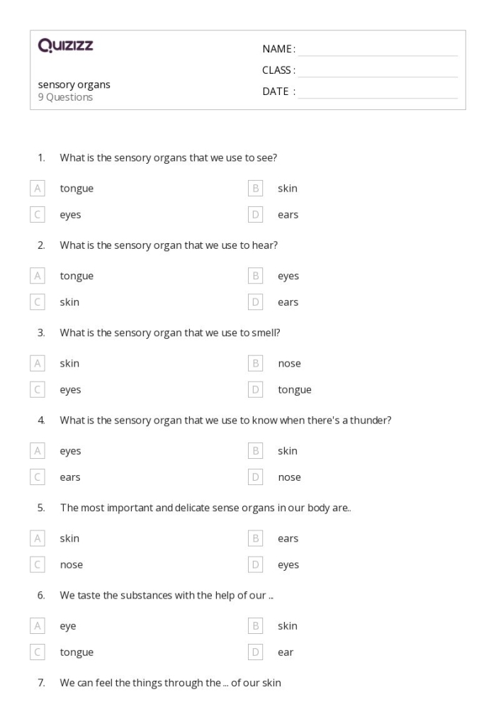 Worksheet image illustrating sensory words and their corresponding senses for young writers Sensory Words worksheet for sorting adjectives by senses for second graders