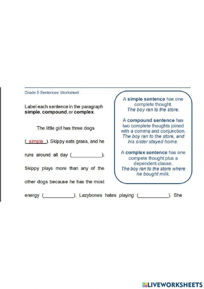 Seventh grade grammar worksheet focusing on classifying simple, compound, complex, and compound-complex sentences