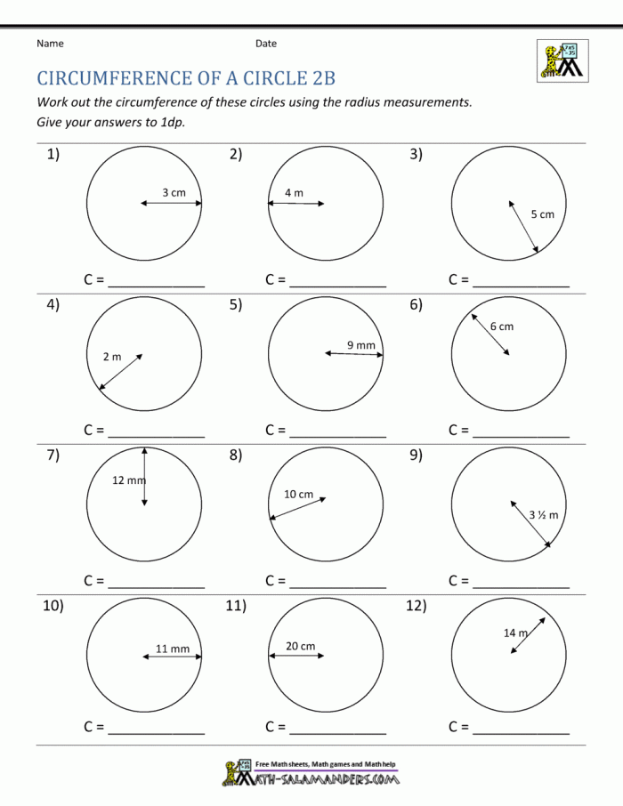 Seventh grade math worksheet featuring practice problems to calculate the circumference of circles