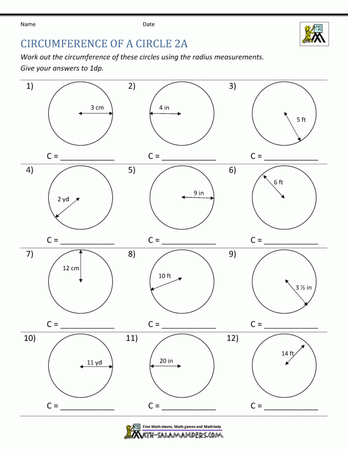 Seventh grade math worksheet focused on calculating the circumference of circles