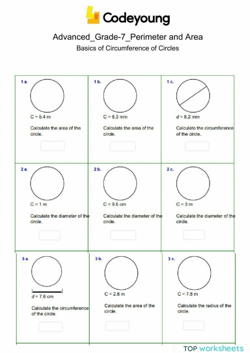 Seventh grade math worksheet featuring geometry problems focused on calculating the circumference of circles