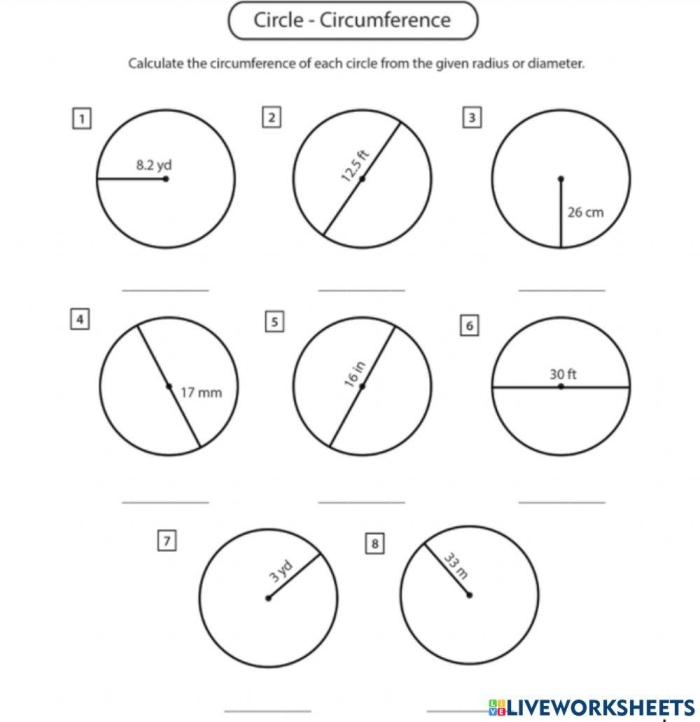Circumference of circles worksheet designed for seventh-grade students