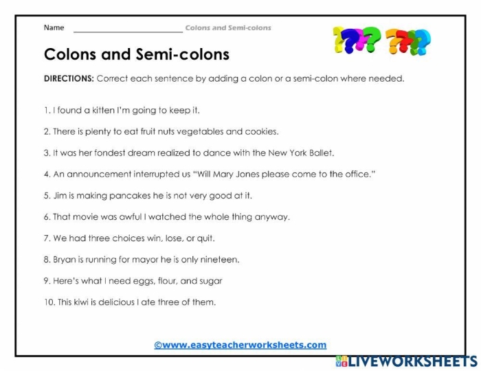 Seventh grade student completing a punctuation exercise on proper colon usage