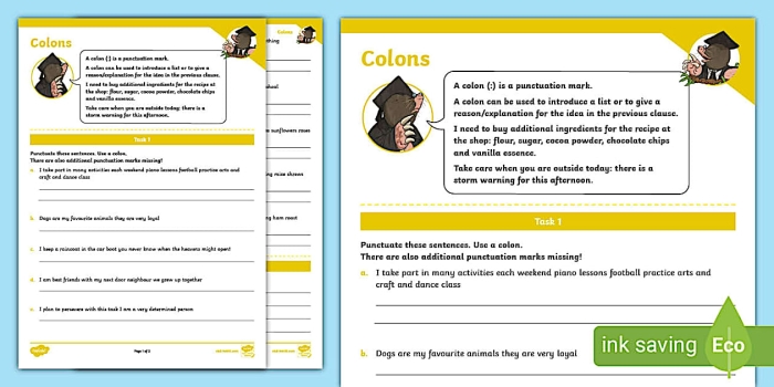 Seventh grade students practicing proper colon usage on an educational worksheet