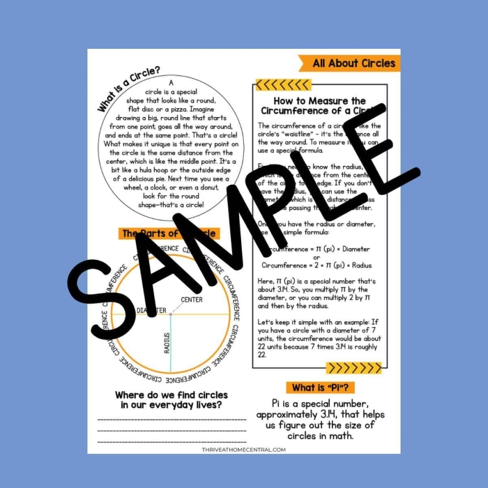 Pi Radius Squared Area of Circles Worksheet Seventeen Seventh grade student solving area of circles problems using the pi radius squared formula