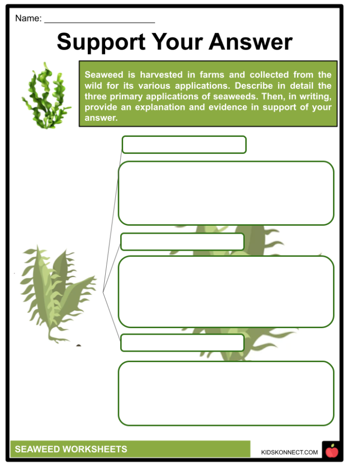 Informational Reading Comprehension worksheet focused on sustaining the world with seaweed Worksheet featuring seventh graders engaging with informational reading on seaweed