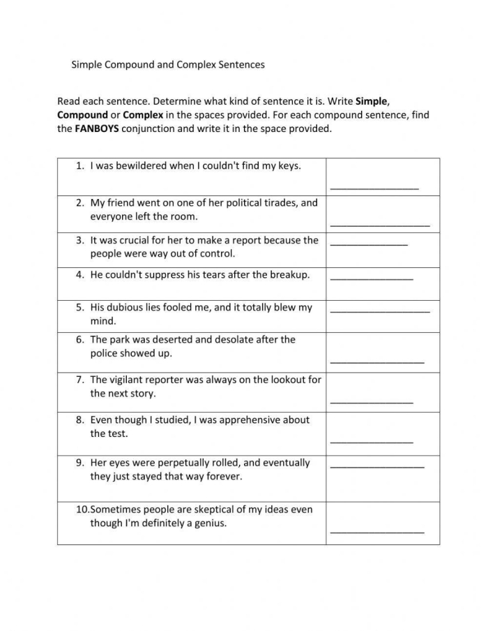 Seventh-grade grammar worksheet for identifying sentence types