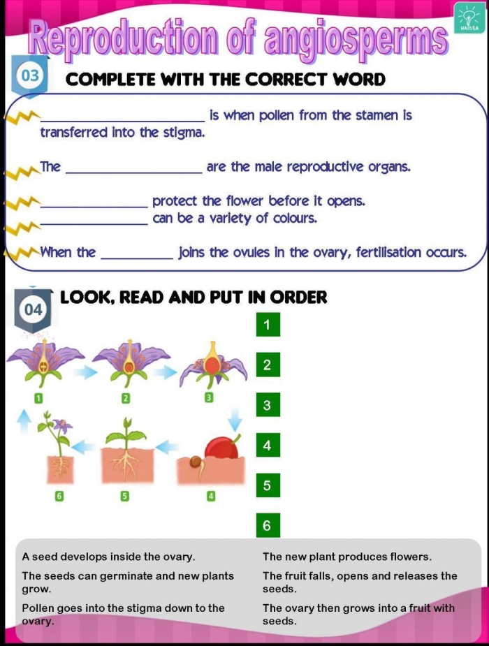 Sixth grade science worksheet comparing sexual and asexual reproduction methods