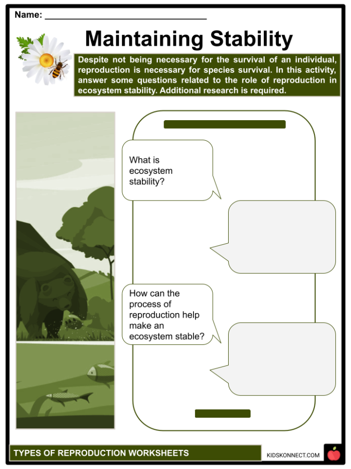 Sixth grade science worksheet covering sexual and asexual reproduction methods
