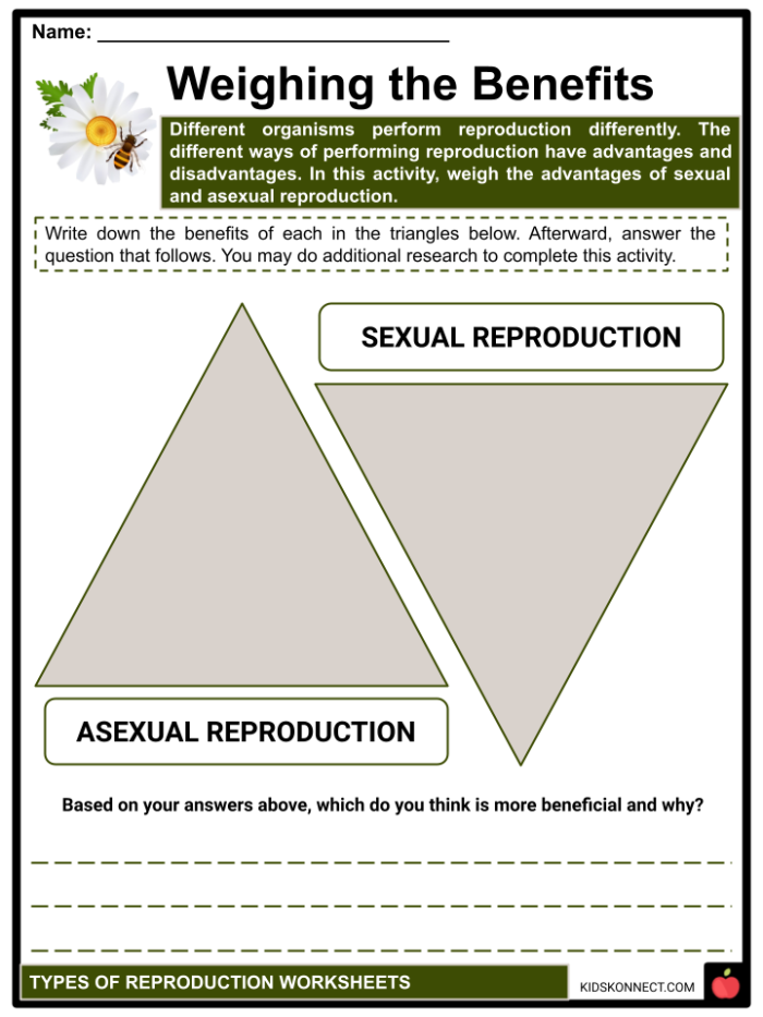 Sixth grade science worksheet comparing sexual and asexual reproduction methods