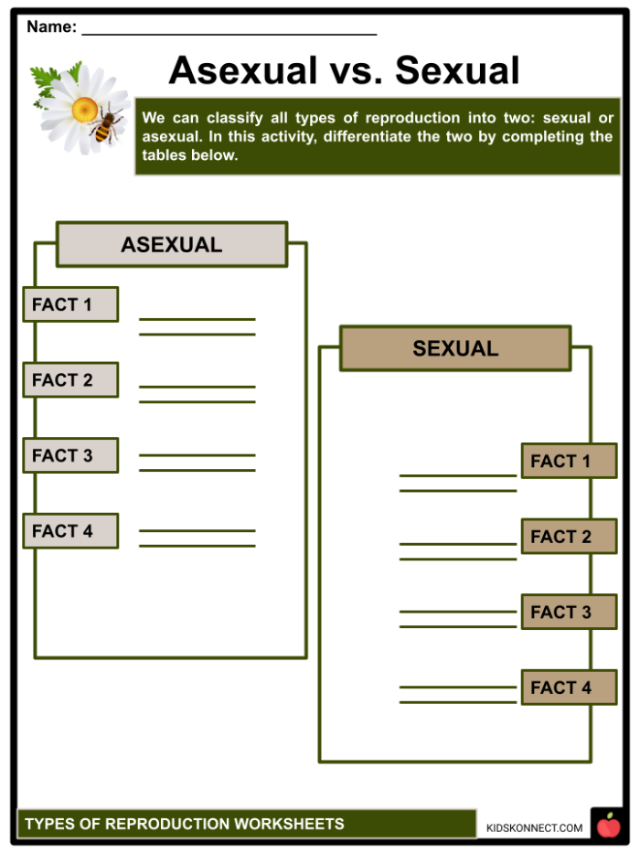 Sixth grade science worksheet comparing sexual and asexual reproduction methods