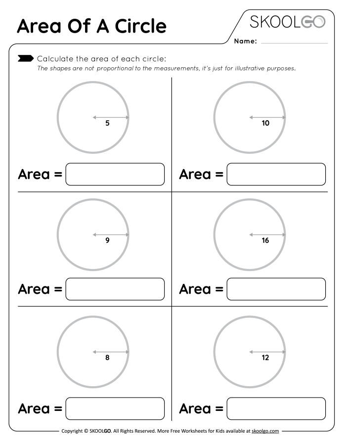 Third grade student completing the Shady Shapes An Area Activity worksheet by counting unit squares