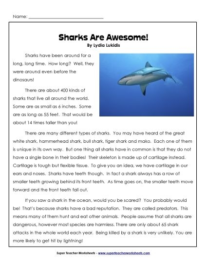 Fourth grade students reading a nonfiction passage about sharks and completing a summary writing worksheet activity