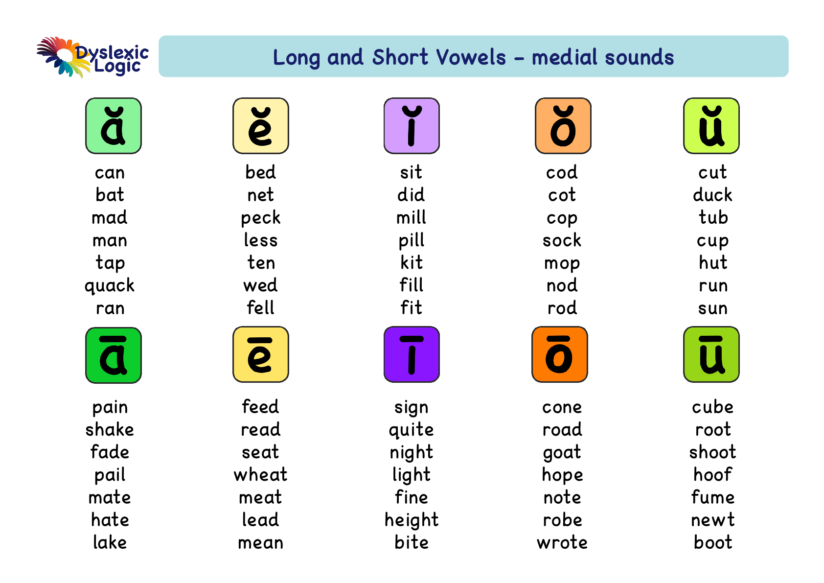Short Vowel Sounds "E" worksheet for first graders focusing on word families and phonics practice. Phonics worksheet featuring short e sounds for first grade students to enhance their reading skills.