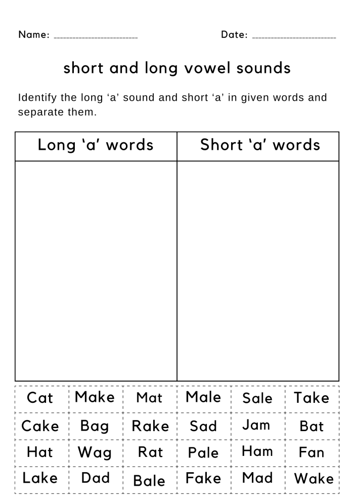Worksheet featuring a short and long vowel sound review for second graders