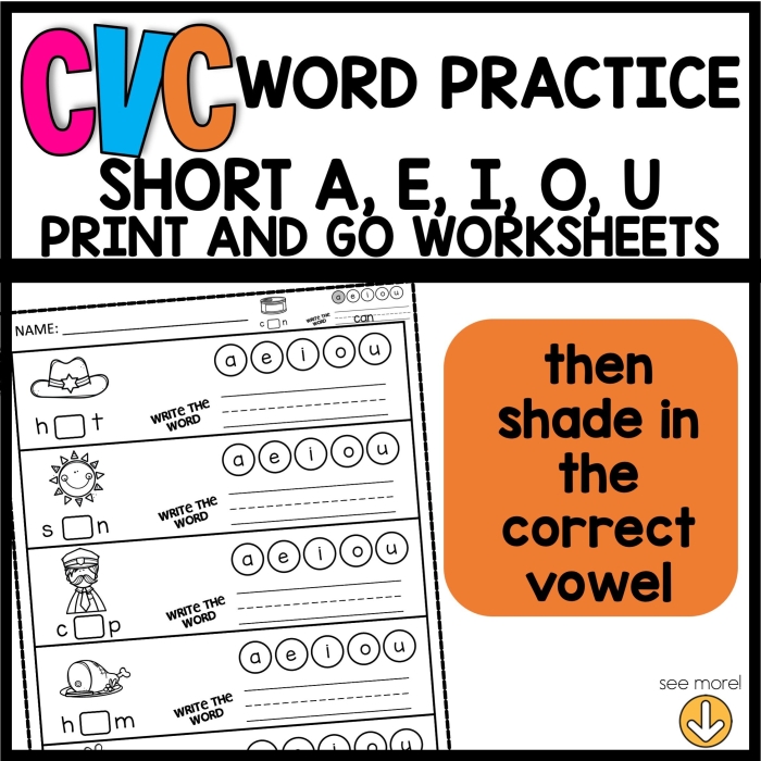 Sort the Short Vowel Sounds Activity Sheet 13 Pre-K student worksheet for sorting short vowel sounds labeled 13