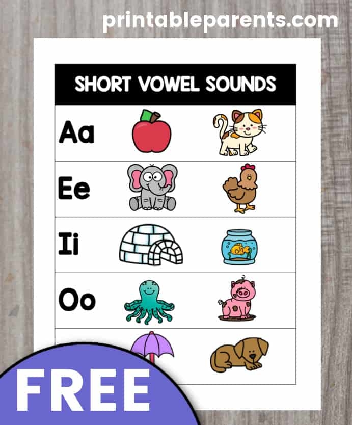Short vowel sounds worksheet focusing on the letter E for first graders