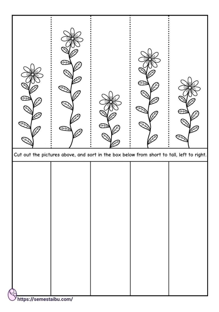 First grade student worksheet for ordering objects from shortest to longest length
