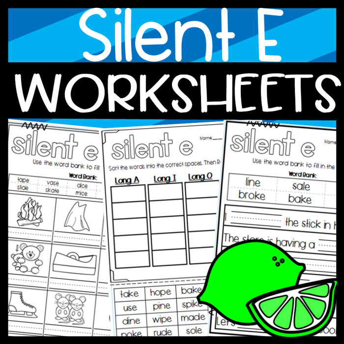 Engaging visual for teaching silent E concepts in early literacy activities Silent E Picture Sort worksheet for kindergarten students focusing on CVC and CVC+silent E words