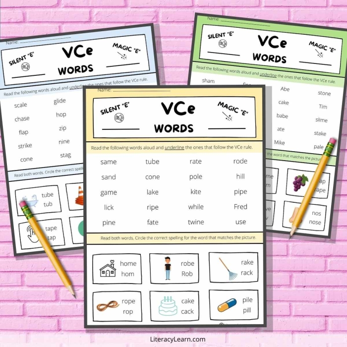 Engaging activity image for teaching silent E concepts in early economics education Silent E Picture Sort worksheet for kindergarten students to differentiate CVC and CVC+silent E words