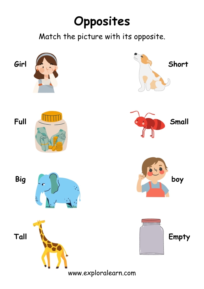 Silly Opposites worksheet for kindergarten students to match pictures of contrasting concepts