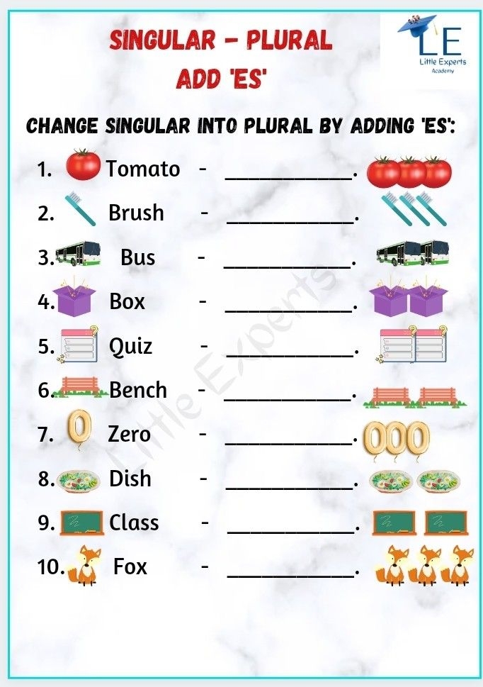 Worksheet for identifying irregular plural nouns in Earth and Space Science