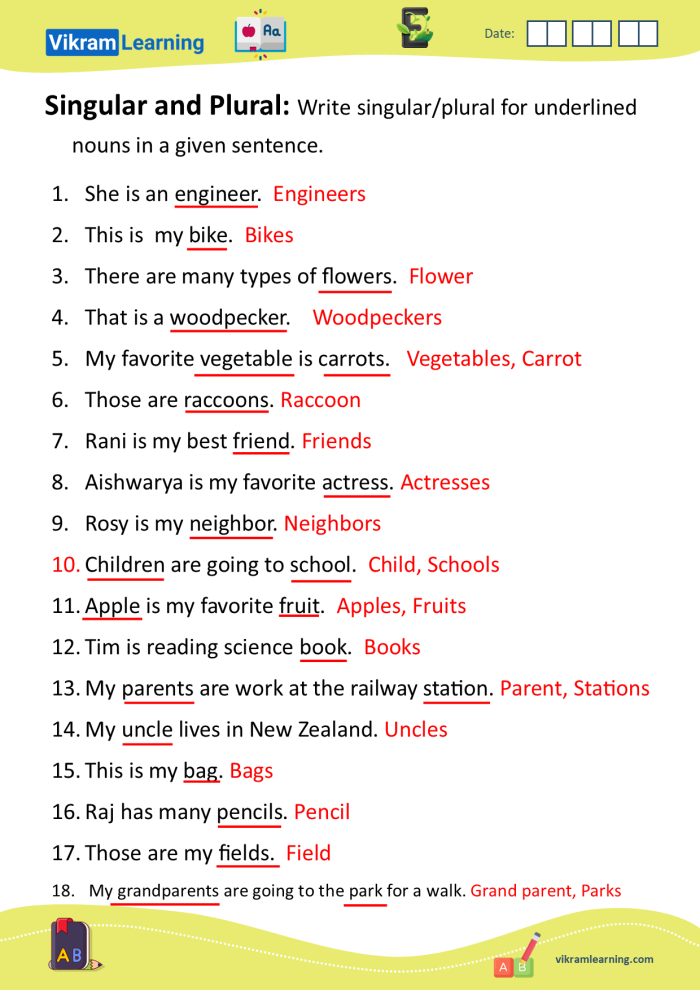 Worksheet for identifying irregular plural nouns for second graders
