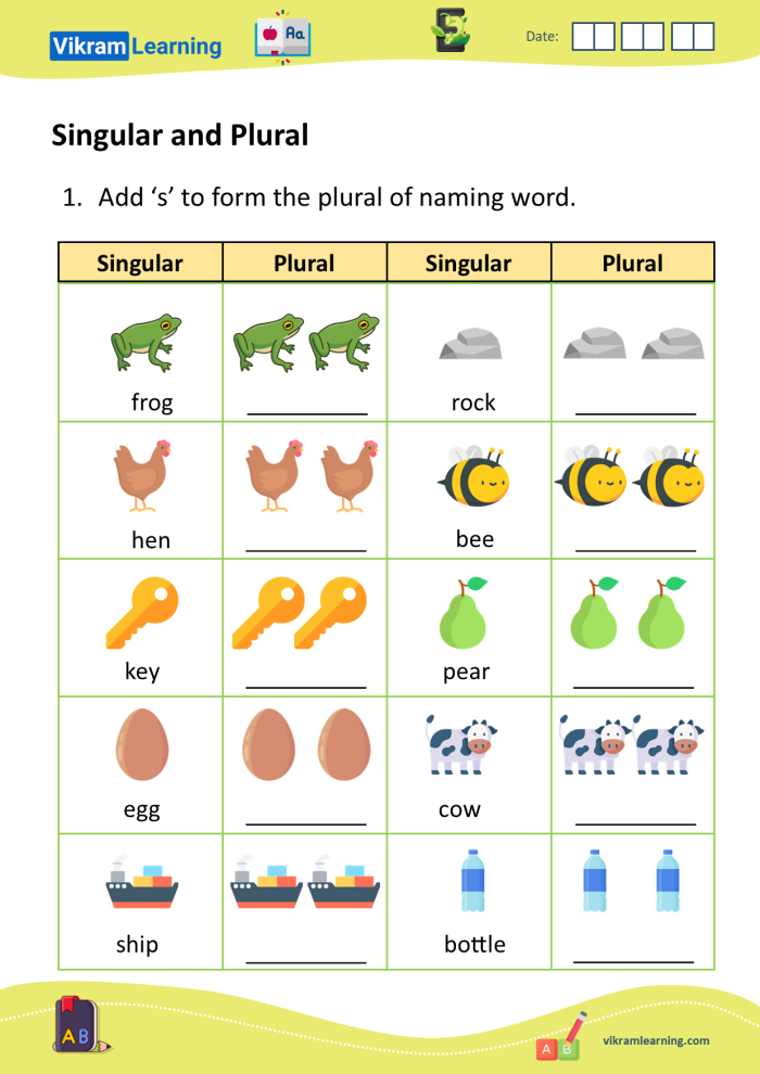 Worksheet for practicing singular and plural nouns with a focus on irregular forms